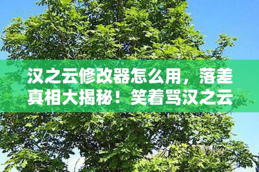 汉之云修改器怎么用，落差真相大揭秘！笑着骂汉之云，笑着笑着却哭了