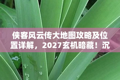 侠客风云传大地图攻略及位置详解，2027玄机暗藏！沉默江湖里，我究竟寻到了什么？