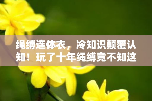 绳缚连体衣,冷知识颠覆认知!玩了十年绳缚竟不知这些,真让人目瞪口呆! 绳缚连体衣,冷知识颠覆认知!玩了十年绳缚竟不知这些,真让人目瞪口呆!