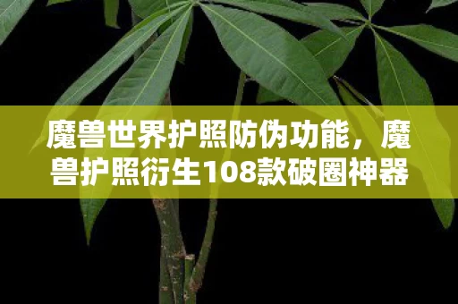 魔兽世界护照防伪功能,魔兽护照衍生108款破圈神器!我的钱包在2027年彻底阵亡了 魔兽世界护照防伪功能,魔兽护照衍生108款破圈神器!我的钱包在2027年彻底阵亡了