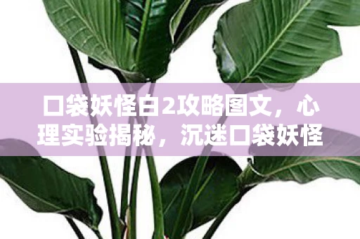 口袋妖怪白2攻略图文,心理实验揭秘,沉迷口袋妖怪白2竟是大脑多巴胺的细思极恐陷阱 口袋妖怪白2攻略图文,心理实验揭秘,沉迷口袋妖怪白2竟是大脑多巴胺的细思极恐陷阱