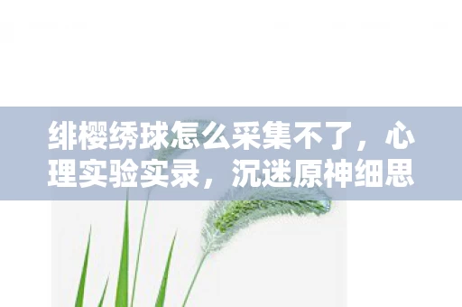 绯樱绣球怎么采集不了,心理实验实录,沉迷原神细思极恐,我的意识正被绯樱绣球蚕食 绯樱绣球怎么采集不了,心理实验实录,沉迷原神细思极恐,我的意识正被绯樱绣球蚕食