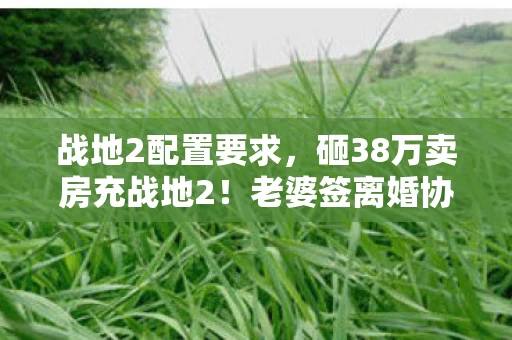 战地2配置要求,砸38万卖房充战地2!老婆签离婚协议那刻,我腿软了! 战地2配置要求,砸38万卖房充战地2!老婆签离婚协议那刻,我腿软了!