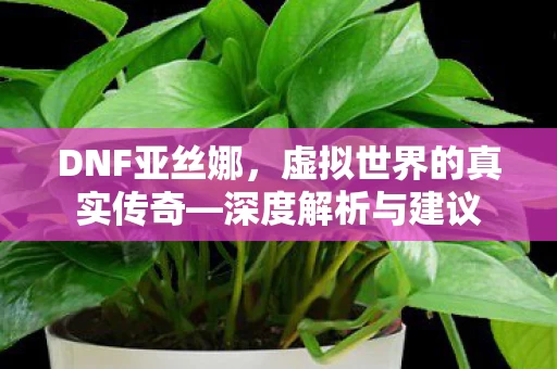 虚拟世界的真实传奇图片