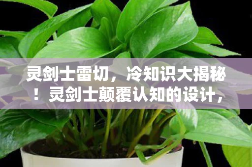 灵剑士雷切,冷知识大揭秘!灵剑士颠覆认知的设计,让你目瞪口呆! 灵剑士雷切,冷知识大揭秘!灵剑士颠覆认知的设计,让你目瞪口呆!