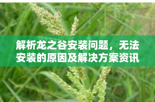 无法安装的原因及解决方案资讯图片
