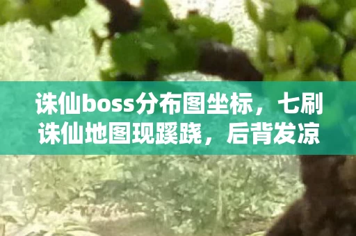 诛仙boss分布图坐标,七刷诛仙地图现蹊跷,后背发凉,十年逃亡竟是场荒诞独角戏 诛仙boss分布图坐标,七刷诛仙地图现蹊跷,后背发凉,十年逃亡竟是场荒诞独角戏