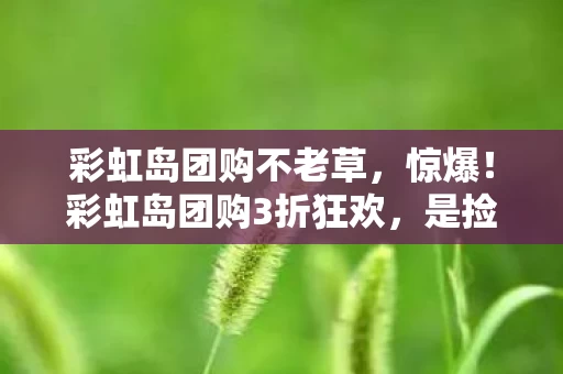 彩虹岛团购不老草，惊爆！彩虹岛团购3折狂欢，是捡漏天堂还是血泪陷阱？