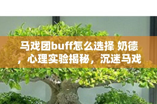 马戏团buff怎么选择 奶德,心理实验揭秘,沉迷马戏团buff的细思极恐自我麻醉 马戏团buff怎么选择 奶德,心理实验揭秘,沉迷马戏团buff的细思极恐自我麻醉