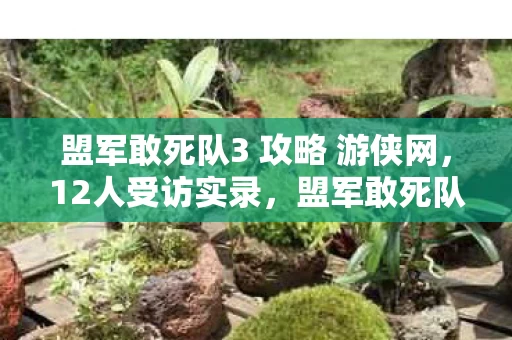 盟军敢死队3 攻略 游侠网，12人受访实录，盟军敢死队3这3个疑点让我绷不住，网吧老炮都破防了！