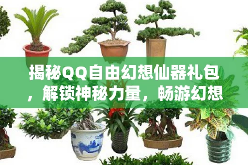 揭秘QQ自由幻想仙器礼包图片