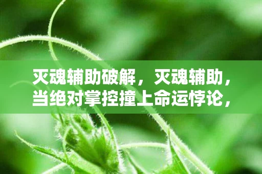 灭魂辅助破解，灭魂辅助，当绝对掌控撞上命运悖论，你的灵魂震颤在自由深渊吗？