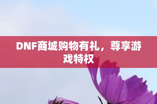 DNF商城购物有礼图片