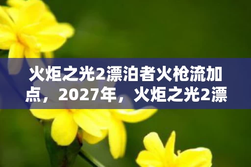 火炬之光2漂泊者火枪流加点，2027年，火炬之光2漂泊者，那些未读消息，让我鼻子一酸