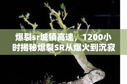 爆裂sr城镇高速，1200小时揭秘爆裂SR从爆火到沉寂，这谜面背后藏着多少泪目故事？