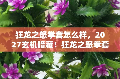 狂龙之怒拳套怎么样,2027玄机暗藏!狂龙之怒拳套为何让我沉默三日? 狂龙之怒拳套怎么样,2027玄机暗藏!狂龙之怒拳套为何让我沉默三日?