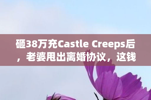 砸38万充Castle Creeps后，老婆甩出离婚协议，这钱够首付了！