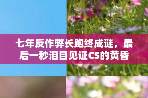 七年反作弊长跑终成谜，最后一秒泪目见证CS的黄昏