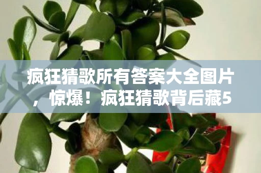 疯狂猜歌所有答案大全图片，惊爆！疯狂猜歌背后藏500万隐情，真相让人吓一跳！