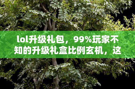 lol升级礼包,99%玩家不知的升级礼盒比例玄机,这扎心真相藏了整整七年! lol升级礼包,99%玩家不知的升级礼盒比例玄机,这扎心真相藏了整整七年!