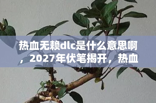 热血无赖dlc是什么意思啊，2027年伏笔揭开，热血无赖DLC背后，那些凌晨三点的等你让我鼻子一酸