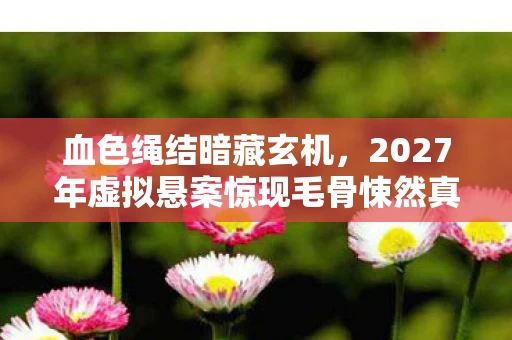 血色绳结暗藏玄机,2027年虚拟悬案惊现毛骨悚然真相 血色绳结暗藏玄机,2027年虚拟悬案惊现毛骨悚然真相