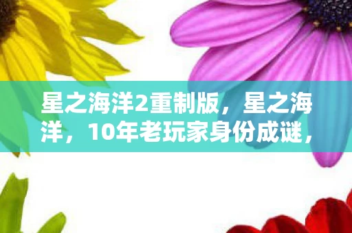 星之海洋2重制版，星之海洋，10年老玩家身份成谜，背后竟藏着如此心酸过往！