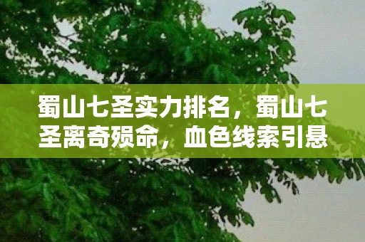 蜀山七圣实力排名,蜀山七圣离奇殒命,血色线索引悬案,真相背后毛骨悚然 蜀山七圣实力排名,蜀山七圣离奇殒命,血色线索引悬案,真相背后毛骨悚然
