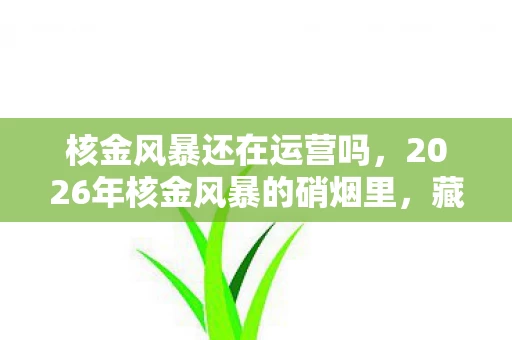 核金风暴还在运营吗,2026年核金风暴的硝烟里,藏着谁未说出口的再见,鼻子一酸 核金风暴还在运营吗,2026年核金风暴的硝烟里,藏着谁未说出口的再见,鼻子一酸