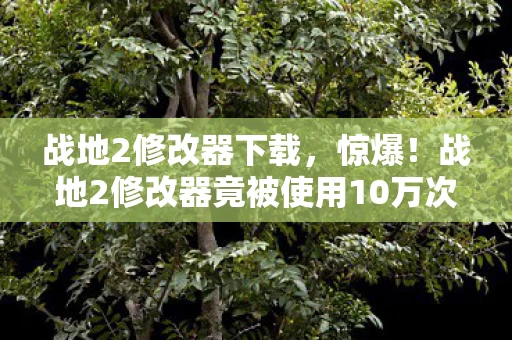 战地2修改器下载，惊爆！战地2修改器竟被使用10万次？蹊跷背后真相让人后背发凉