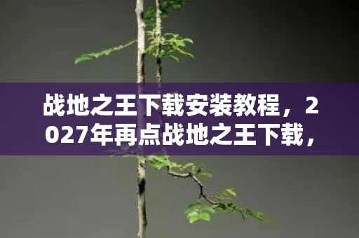 战地之王下载安装教程，2027年再点战地之王下载，那些伏笔与承诺，让我鼻子一酸