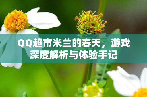 游戏深度解析与体验手记图片