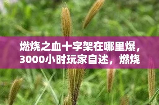 燃烧之血十字架在哪里爆，3000小时玩家自述，燃烧之血十字架下，谁在为游戏信仰买单？
