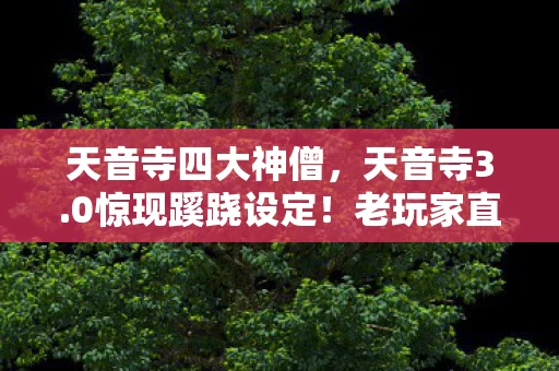 天音寺四大神僧，天音寺3.0惊现蹊跷设定！老玩家直呼，这波情怀杀太上头！