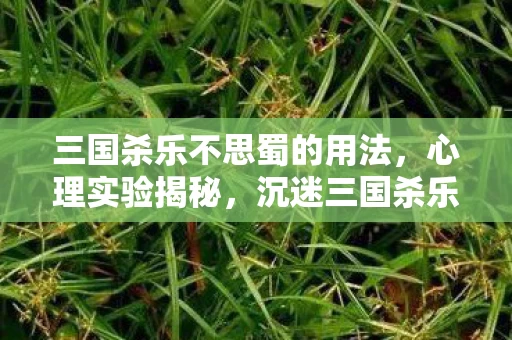 三国杀乐不思蜀的用法，心理实验揭秘，沉迷三国杀乐不思蜀，细思极恐的自我麻醉