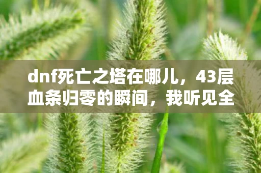 dnf死亡之塔在哪儿，43层血条归零的瞬间，我听见全服300万勇士的呼吸声停了——死亡之塔通关真相竟藏着2027年最大行业风暴？