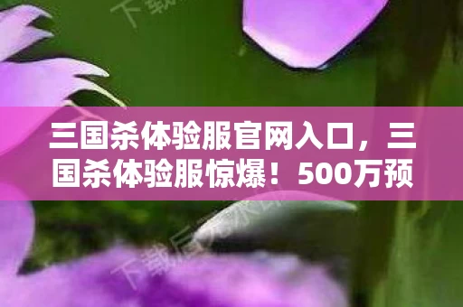 三国杀体验服官网入口，三国杀体验服惊爆！500万预算背后隐情，结果让人吓一跳！