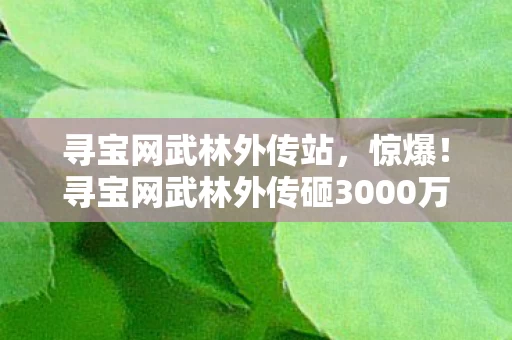 寻宝网武林外传站，惊爆！寻宝网武林外传砸3000万隐情曝光，结果让人吓一跳！