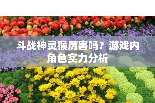 游戏内角色实力分析图片