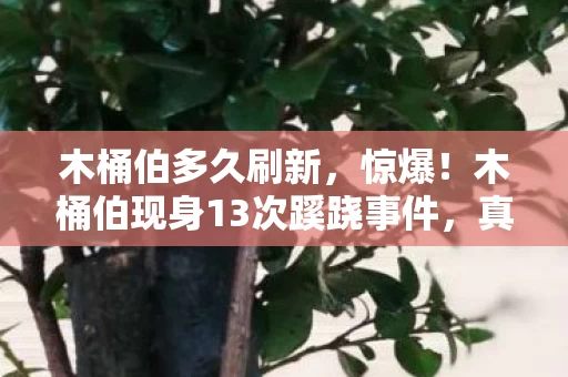 木桶伯多久刷新,惊爆!木桶伯现身13次蹊跷事件,真相揭晓后背发凉! 木桶伯多久刷新,惊爆!木桶伯现身13次蹊跷事件,真相揭晓后背发凉!