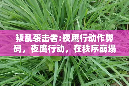 叛乱袭击者:夜鹰行动作弊码,夜鹰行动,在秩序崩塌的层级中,自由是命运最残酷的悖论 叛乱袭击者:夜鹰行动作弊码,夜鹰行动,在秩序崩塌的层级中,自由是命运最残酷的悖论