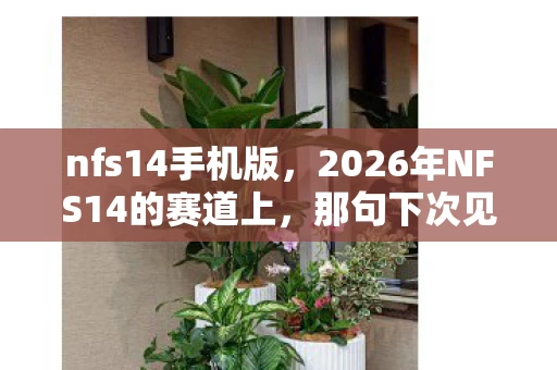 nfs14手机版，2026年NFS14的赛道上，那句下次见成了伏笔，鼻子一酸终是永别？