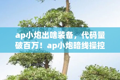 ap小炮出啥装备，代码量破百万！ap小炮暗线操控，帮派风云让我头皮发麻