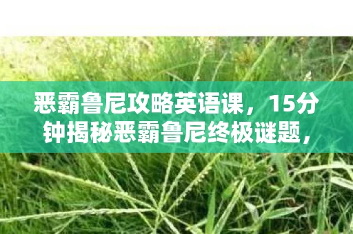 恶霸鲁尼攻略英语课,15分钟揭秘恶霸鲁尼终极谜题,当NPC集体泪目时,我失去了什么? 恶霸鲁尼攻略英语课,15分钟揭秘恶霸鲁尼终极谜题,当NPC集体泪目时,我失去了什么?
