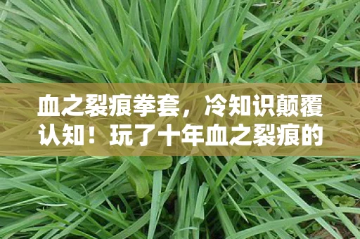 血之裂痕拳套,冷知识颠覆认知!玩了十年血之裂痕的我竟目瞪口呆 血之裂痕拳套,冷知识颠覆认知!玩了十年血之裂痕的我竟目瞪口呆