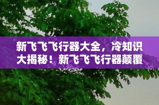 新飞飞飞行器大全，冷知识大揭秘！新飞飞飞行器颠覆设计，让你目瞪口呆！