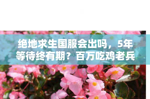 绝地求生国服会出吗，5年等待终有期？百万吃鸡老兵的国服梦何时照进现实？