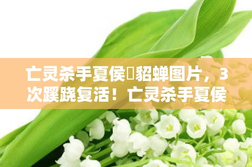 亡灵杀手夏侯惇貂蝉图片,3次蹊跷复活!亡灵杀手夏侯惇貂蝉背后,真相让人后背发凉 亡灵杀手夏侯惇貂蝉图片,3次蹊跷复活!亡灵杀手夏侯惇貂蝉背后,真相让人后背发凉