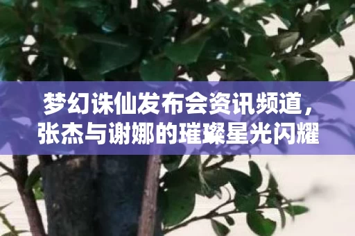 张杰与谢娜的璀璨星光闪耀舞台图片