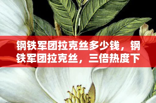钢铁军团拉克丝多少钱，钢铁军团拉克丝，三倍热度下的疑云密布，谁让玩家心寒至此？